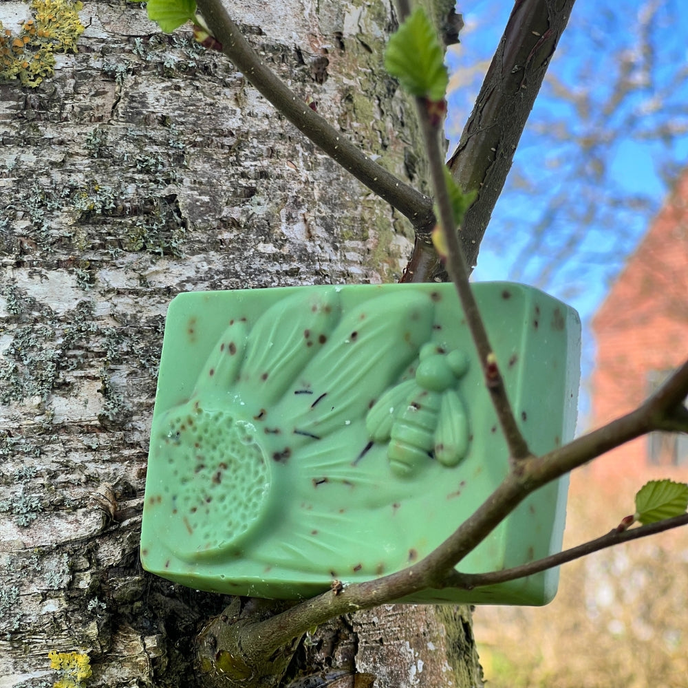 Woodland Breeze